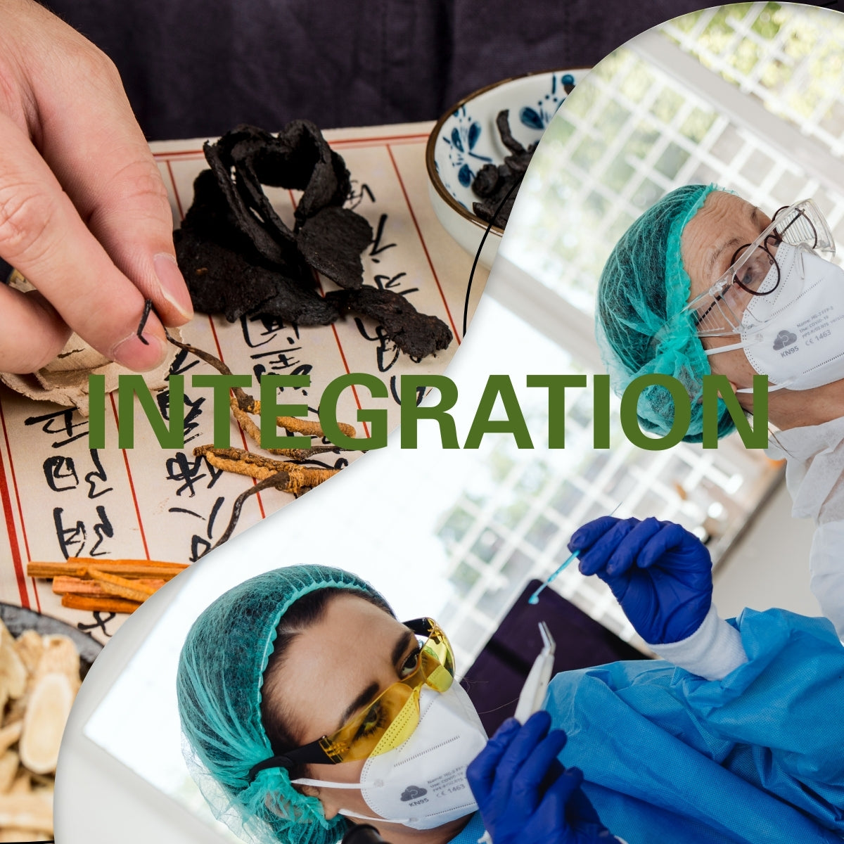 Integration: Where Science Meets Chinese Medicine for True Healing