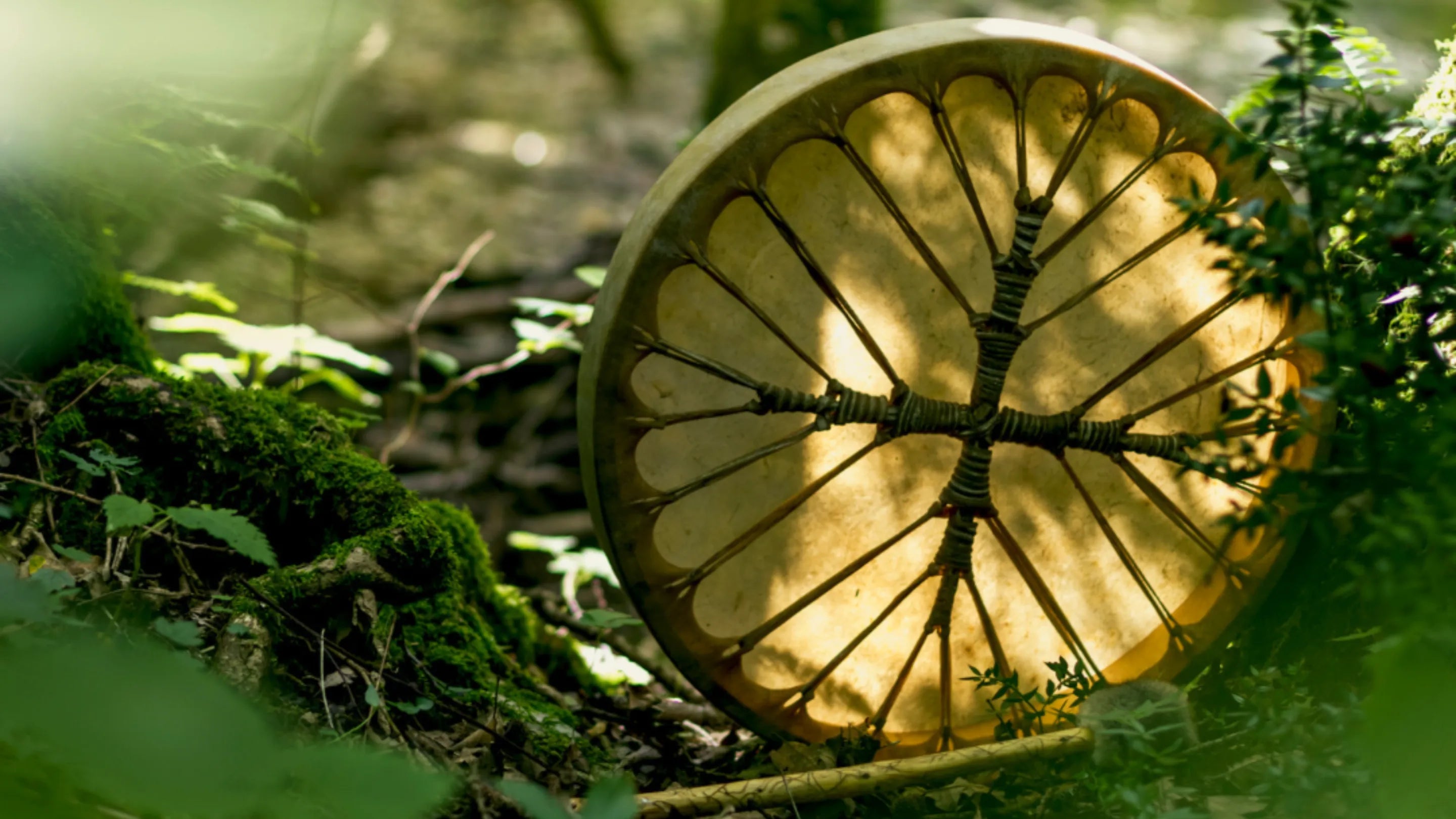 Join Our Green Sacred Circles